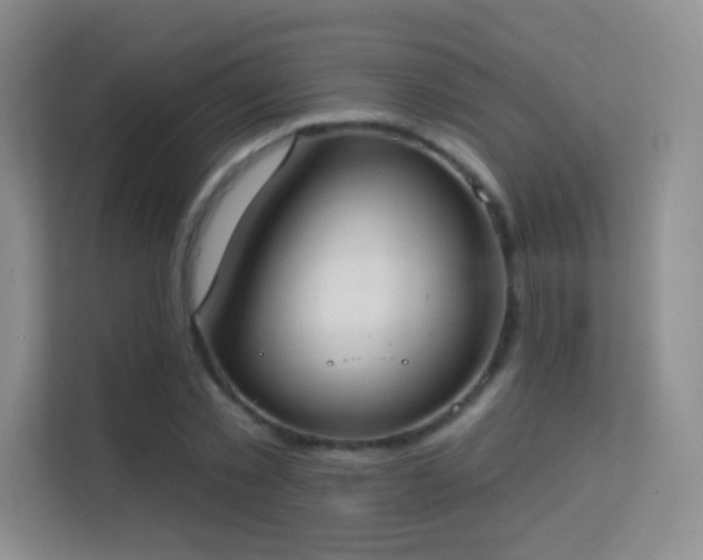 X0000113580781200909251154