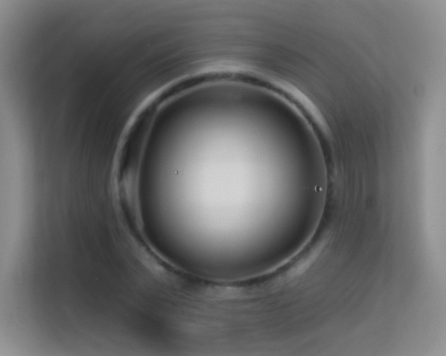 X0000113580783200909251154