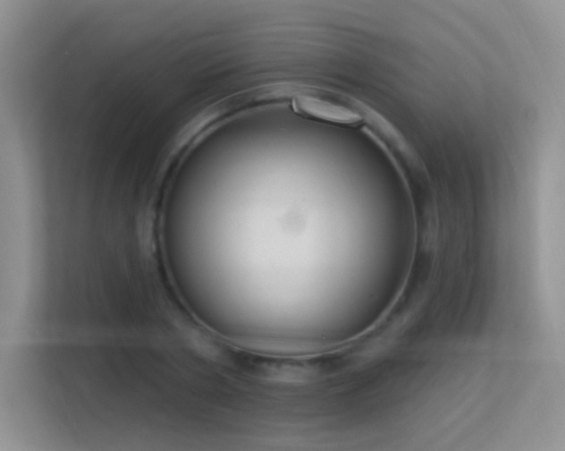 X0000113580786200909251154