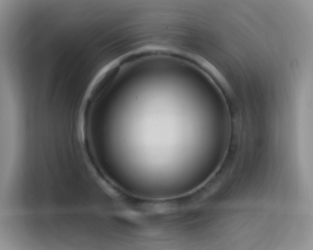 X0000113580791200909251154