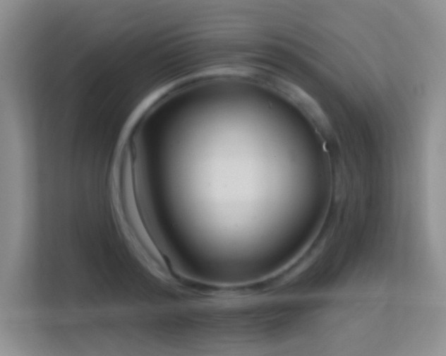 X0000113580796200909251154