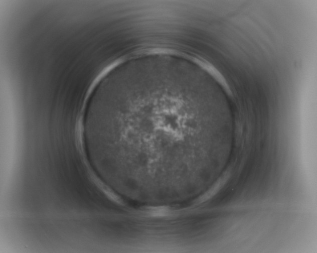 X0000113580798200909251154