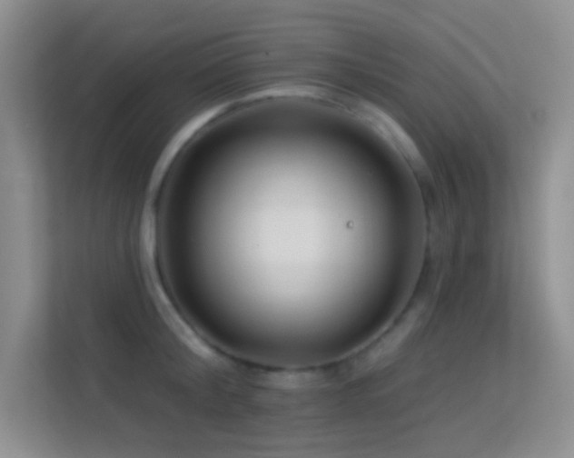 X0000113580804200909251154