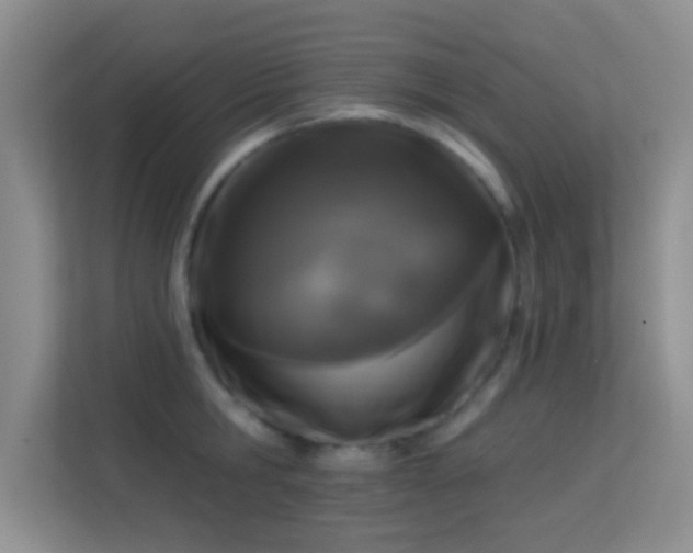 X0000113580806200909251154