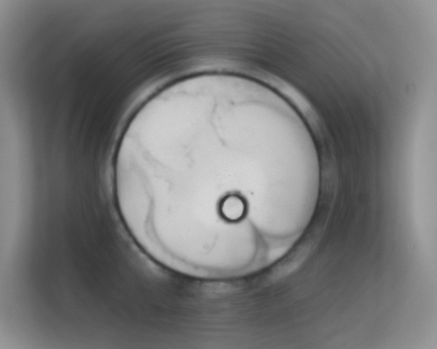 X0000113580807200909251154