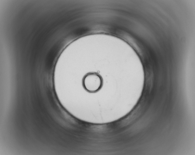 X0000113580810200909251154