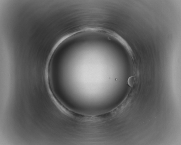 X0000113580811200909251154