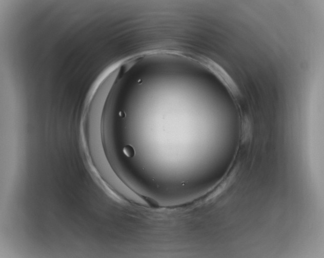 X0000113580812200909251154