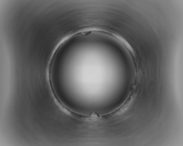 X0000113580813200909251154