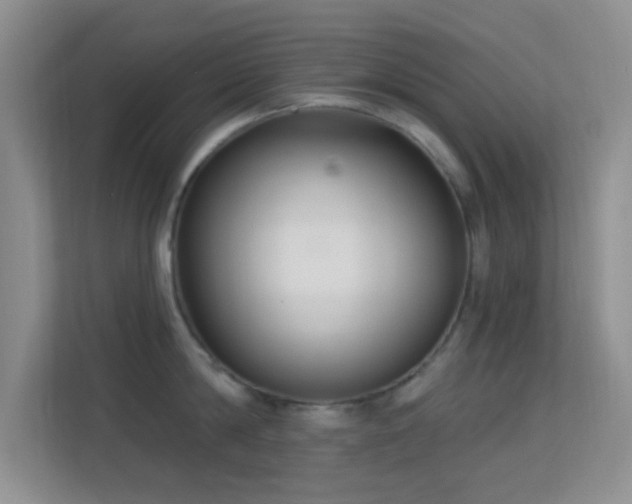 X0000113580814200909251154