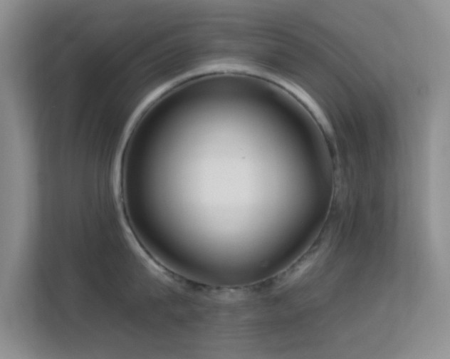 X0000113580815200909251154