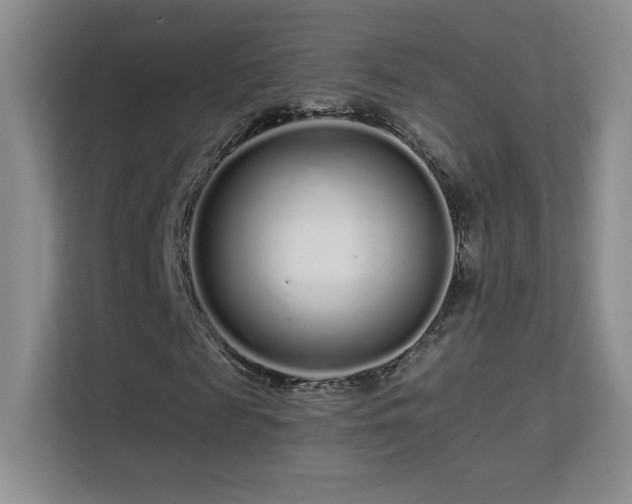 X0000113580817200909251153