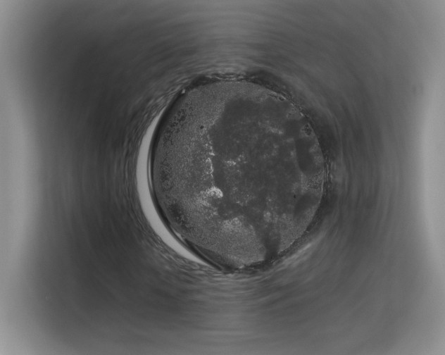 X0000113580818200909251153