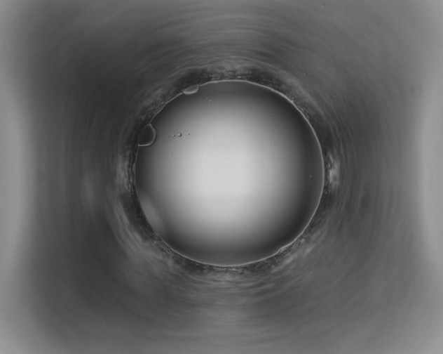 X0000113580819200909251153