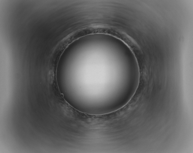 X0000113580821200909251153