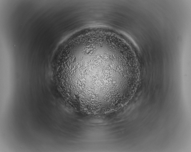 X0000113580823200909251153