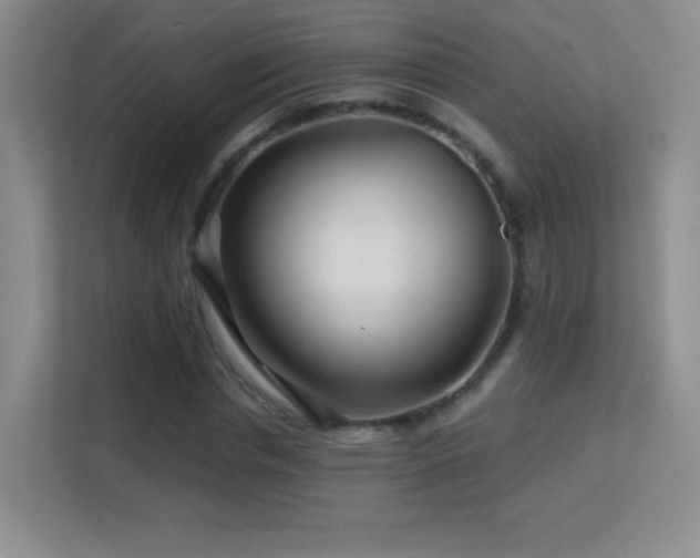 X0000113580826200909251153