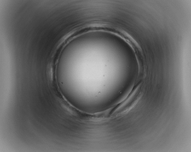 X0000113580829200909251153