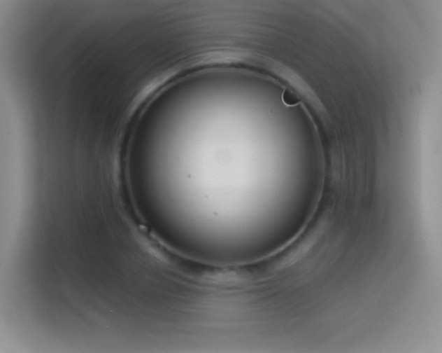 X0000113580834200909251153