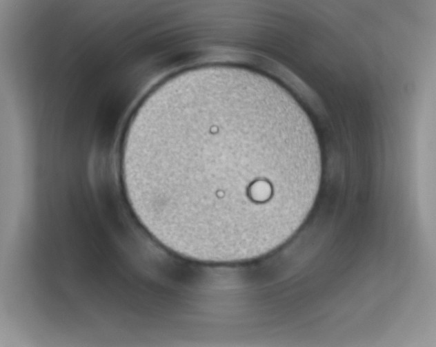 X0000113580836200909251153