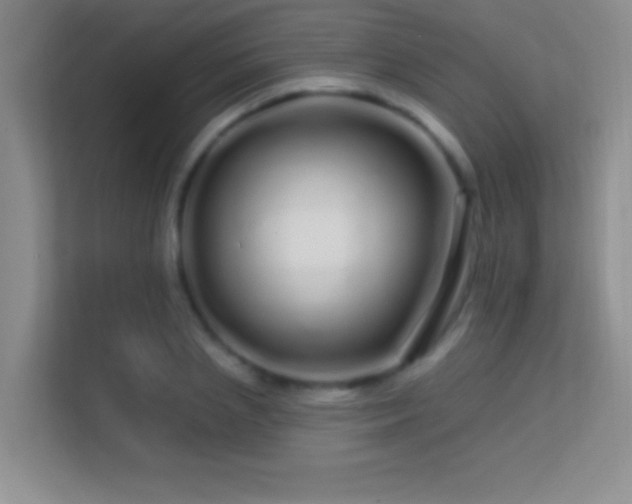 X0000113580837200909251153