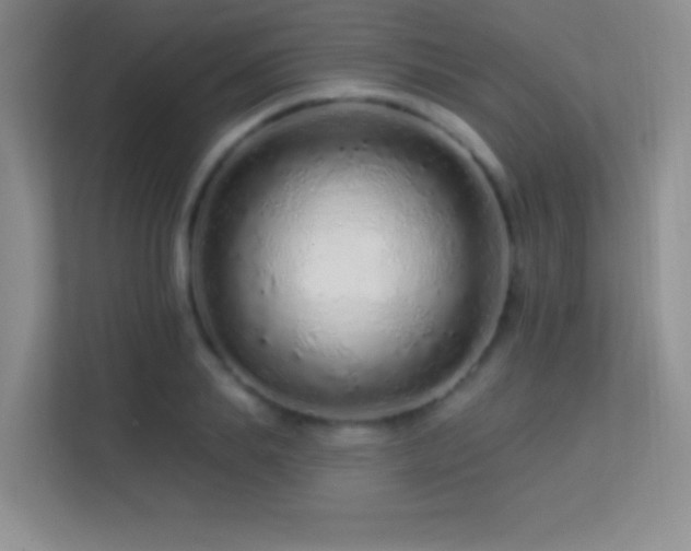 X0000113580839200909251153