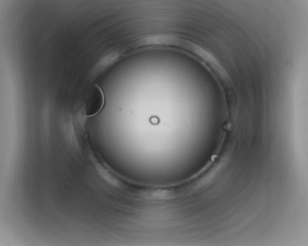 X0000113580841200909251153