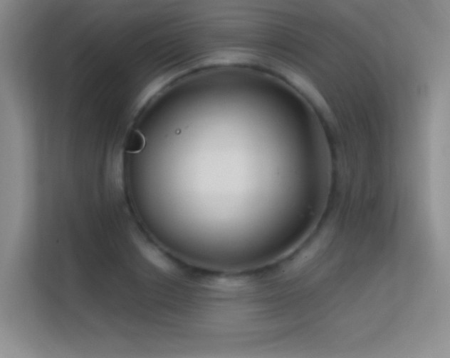 X0000113580842200909251153