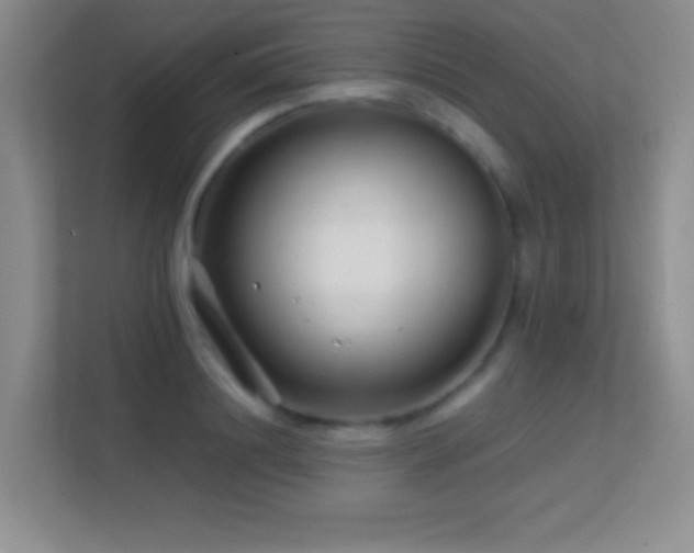 X0000113580844200909251153