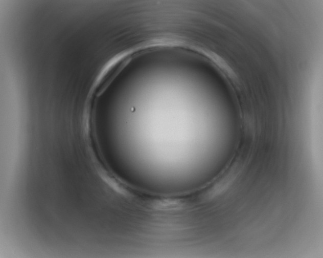 X0000113580846200909251153