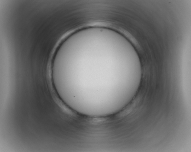 X0000113580848200909251153