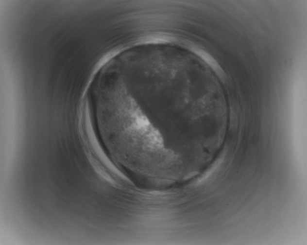 X0000113580850200909251153