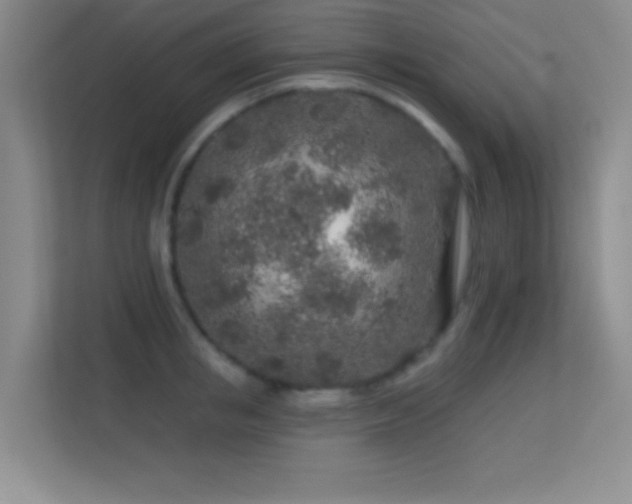 X0000113580853200909251153