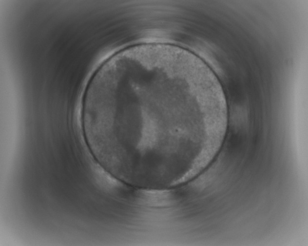 X0000113580856200909251153