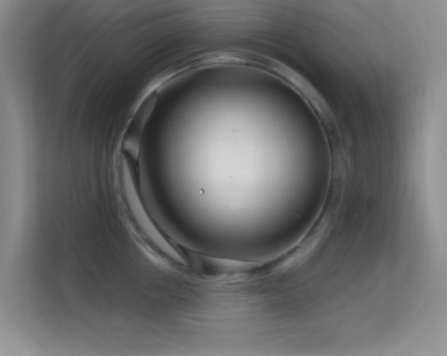 X0000113580858200909251154