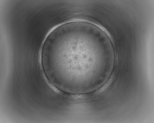 X0000113580862200909251154