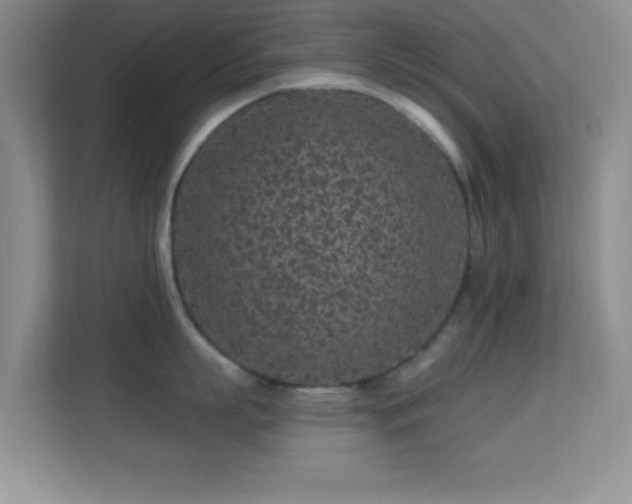 X0000113580863200909251154