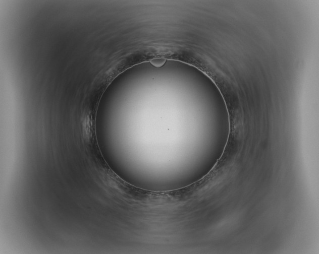 X0000113580866200909251153