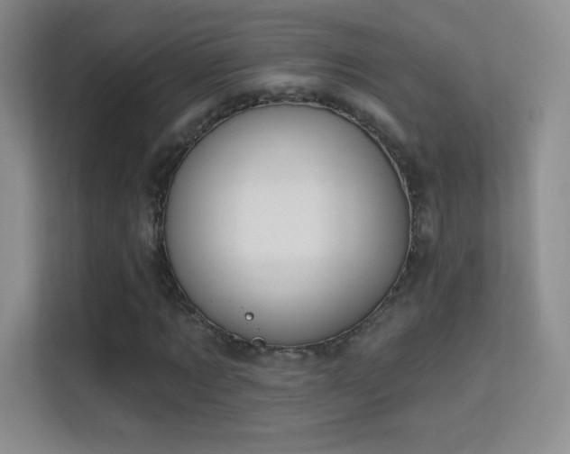 X0000113580869200909251153