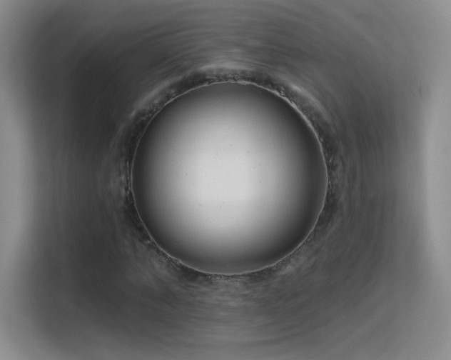 X0000113580870200909251153