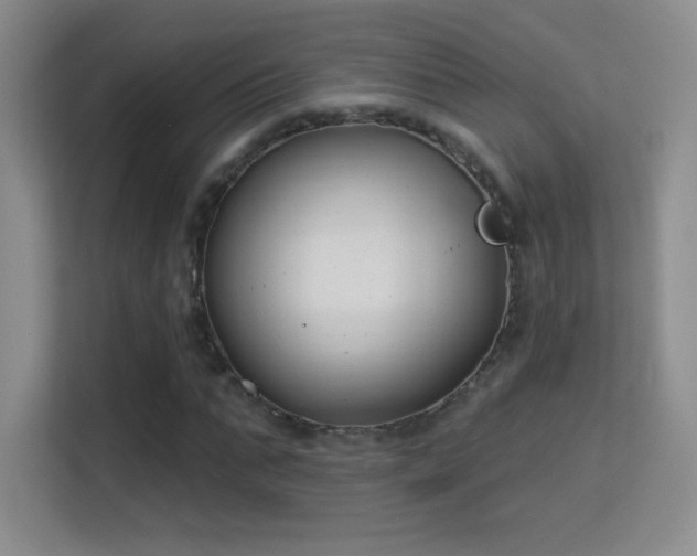 X0000113580871200909251153