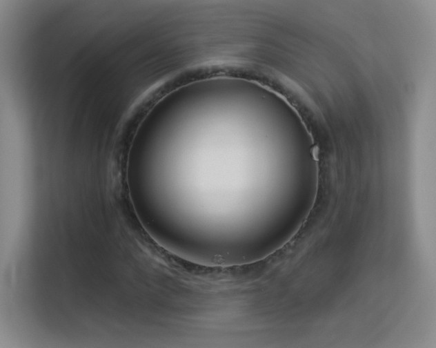 X0000113580872200909251153