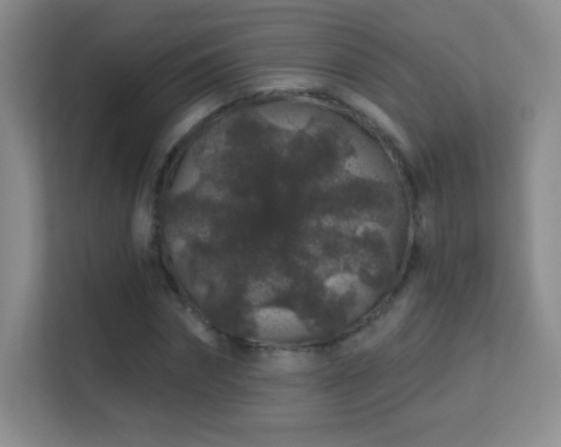 X0000113580874200909251153