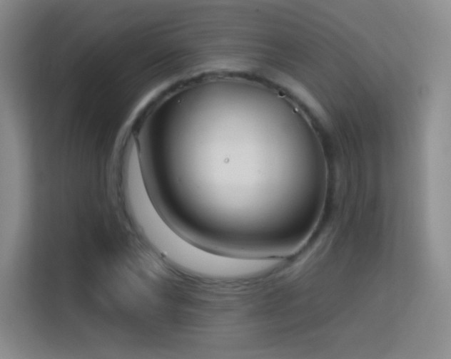 X0000113580878200909251153