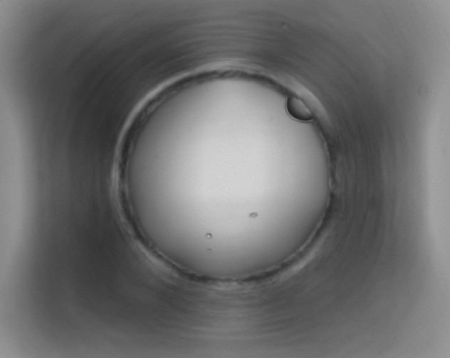 X0000113580880200909251153