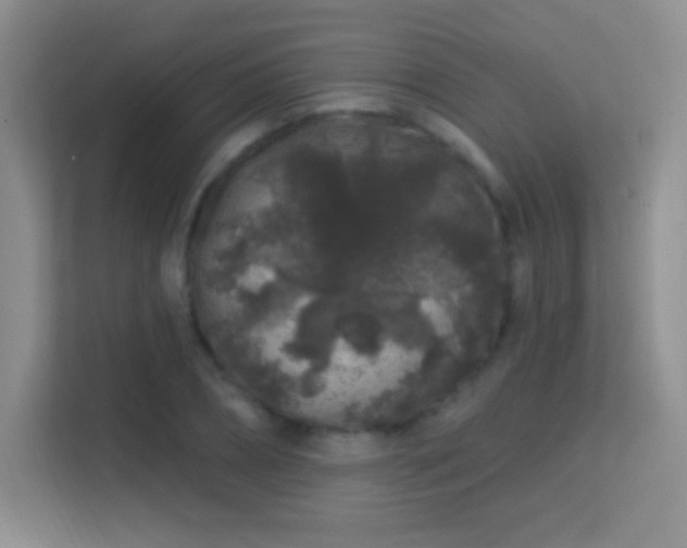 X0000113580882200909251153