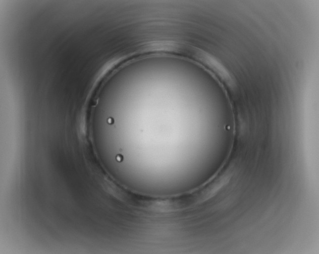 X0000113580883200909251153