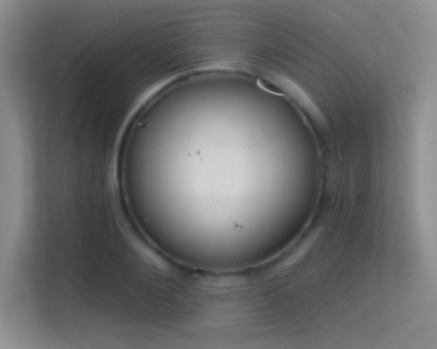 X0000113580884200909251153