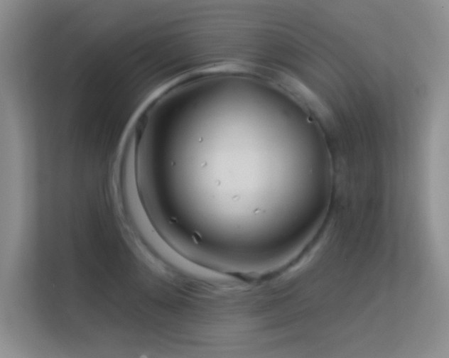 X0000113580892200909251153