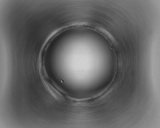 X0000113580894200909251153